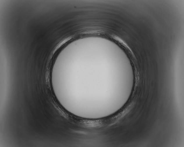 X0000086730874200704130745