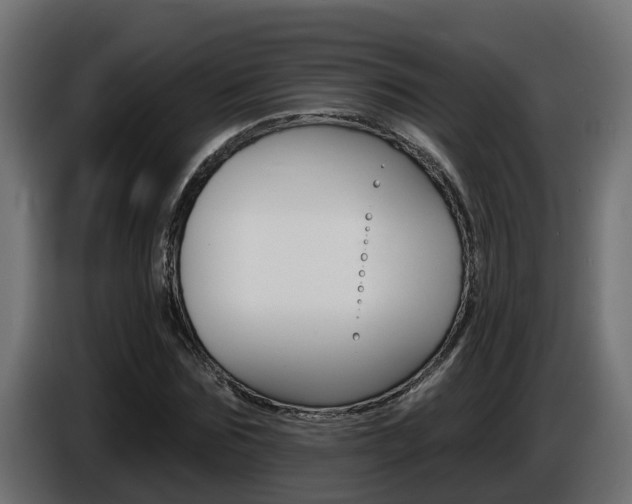 X0000086730875200704130745