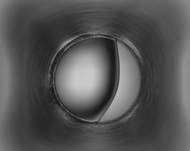 X0000086730876200704130744