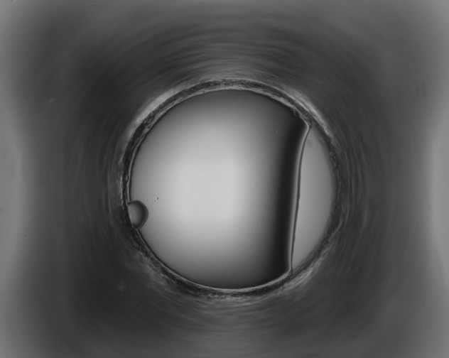 X0000086730877200704130744
