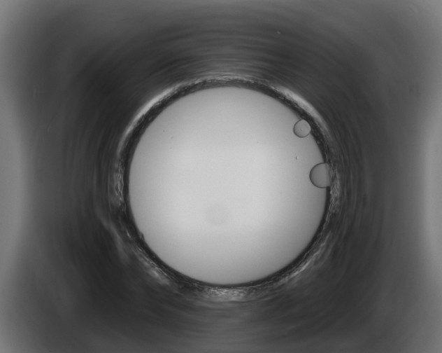 X0000086730878200704130744