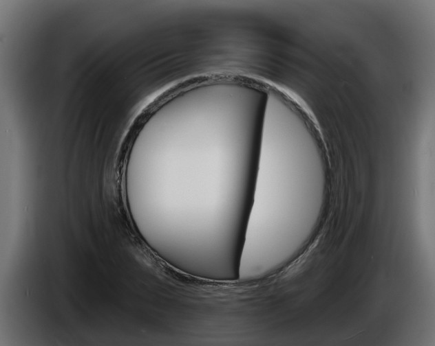 X0000086730879200704130744