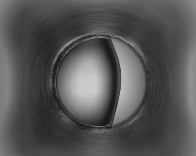 X0000086730880200704130744