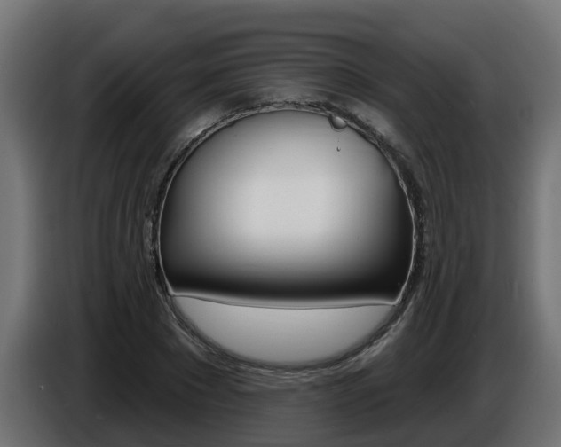 X0000086730881200704130744