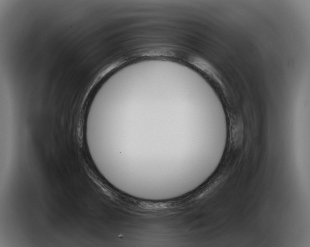 X0000086730882200704130744