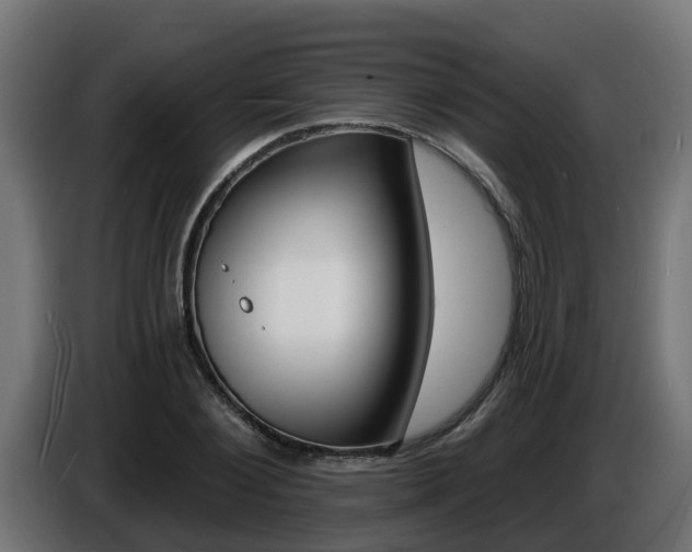 X0000086730884200704130744