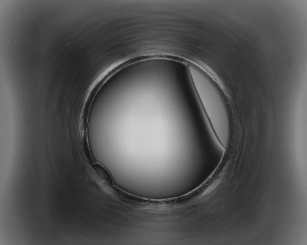 X0000086730885200704130744