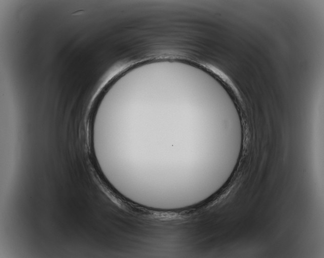 X0000086730886200704130744