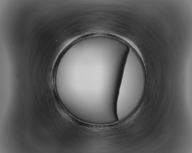 X0000086730887200704130744