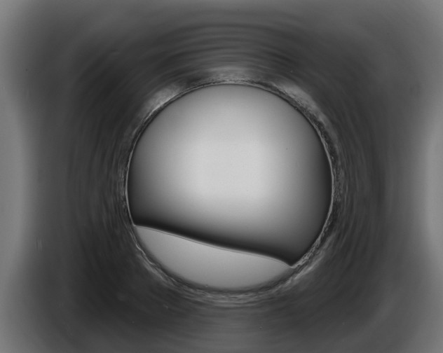 X0000086730889200704130744
