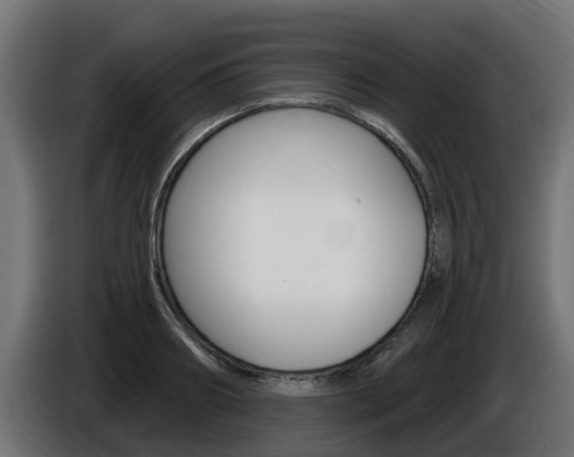X0000086730890200704130744
