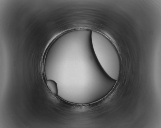 X0000086730891200704130744