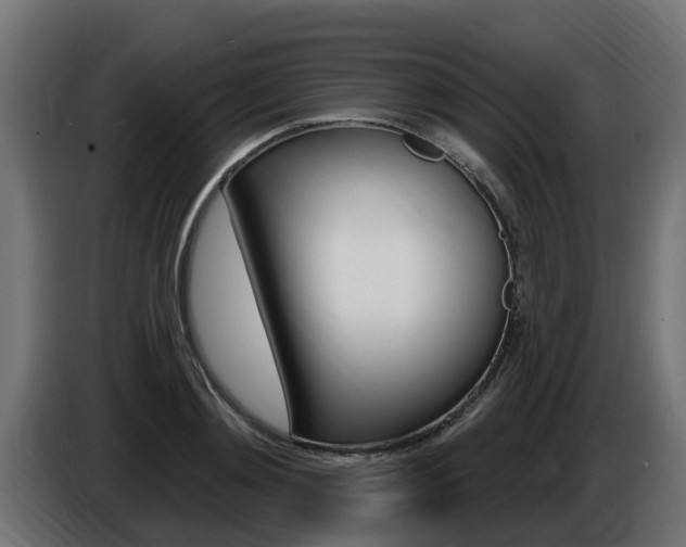 X0000086730892200704130744