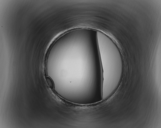 X0000086730896200704130744