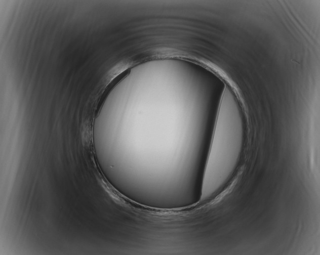 X0000086730897200704130744