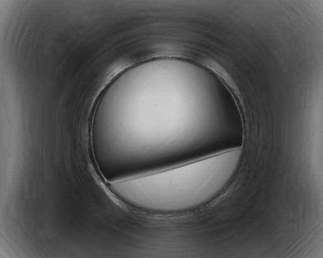 X0000086730898200704130744