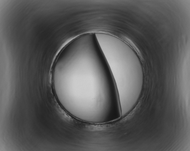 X0000086730900200704130744