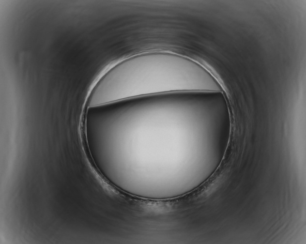 X0000086730901200704130744