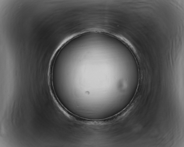 X0000086730902200704130744