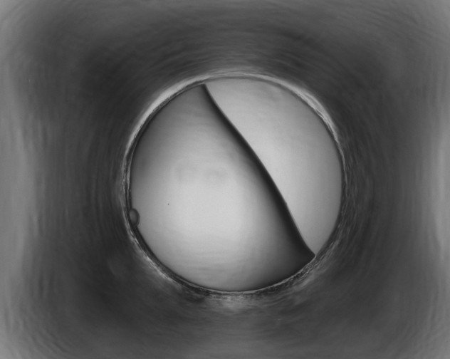 X0000086730903200704130744