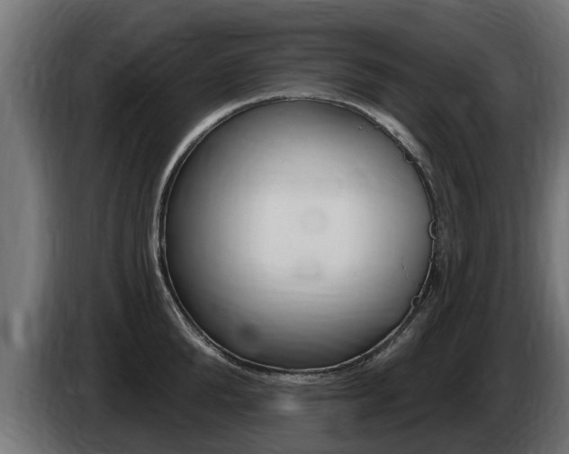 X0000086730904200704130744
