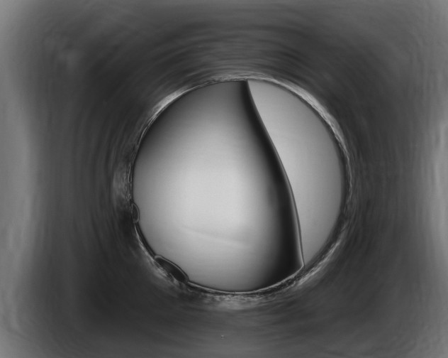 X0000086730905200704130744
