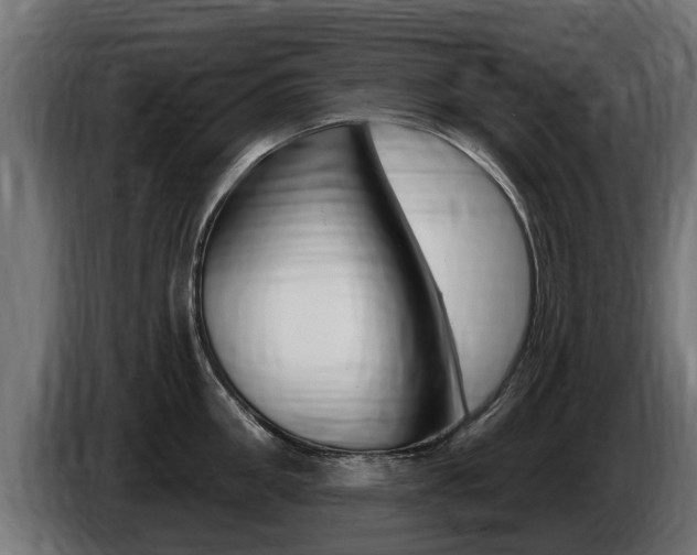 X0000086730906200704130744