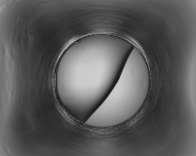 X0000086730907200704130744