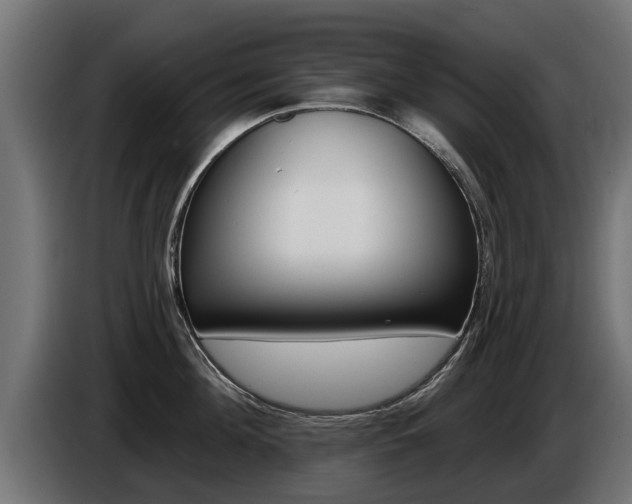 X0000086730908200704130744
