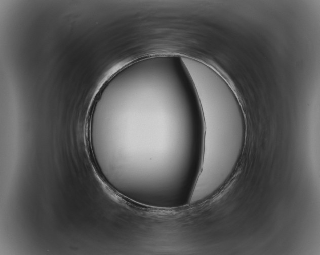 X0000086730909200704130744