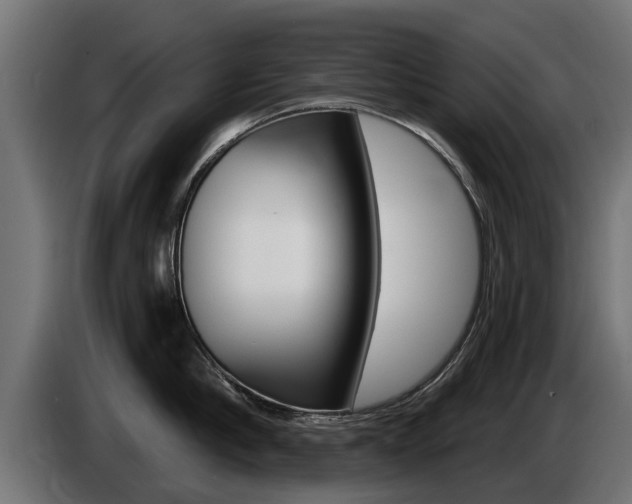 X0000086730910200704130744