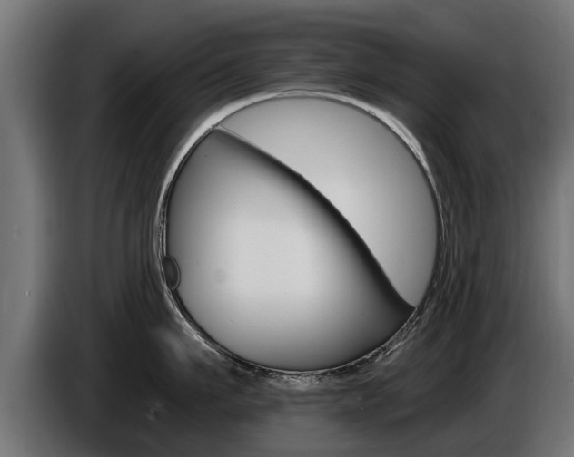 X0000086730911200704130744