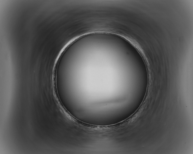 X0000086730912200704130744