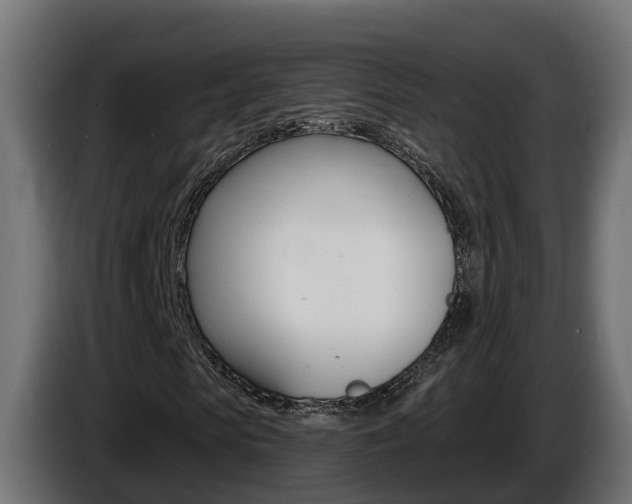 X0000086730913200704130744