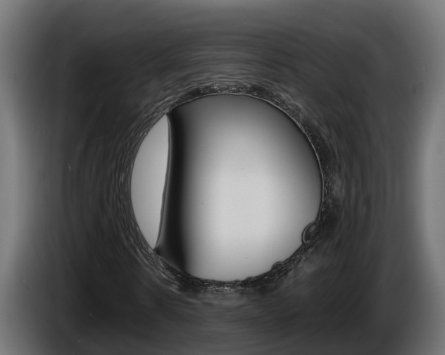 X0000086730914200704130744
