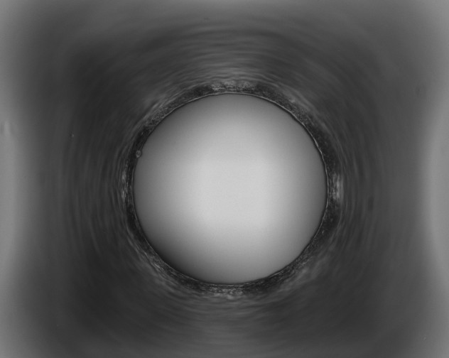 X0000086730915200704130744