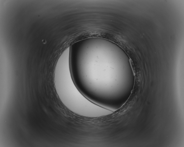X0000086730916200704130744