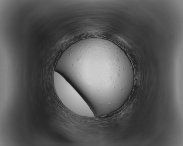 X0000086730917200704130744