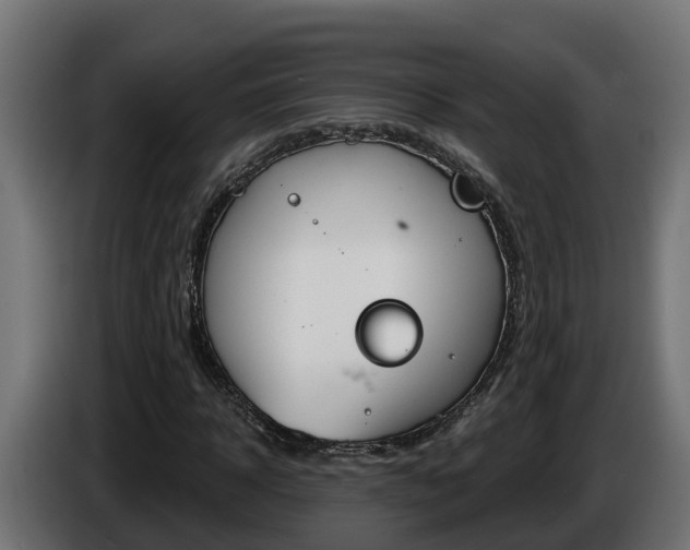 X0000086730918200704130744