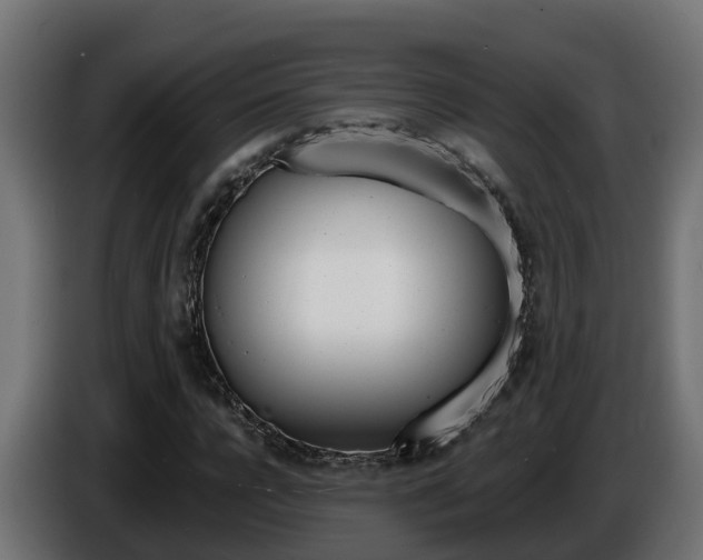 X0000086730920200704130744
