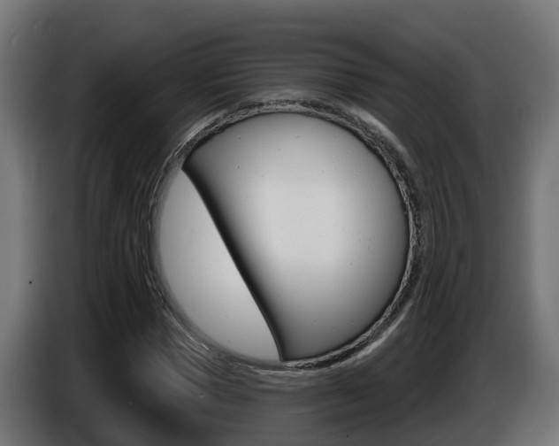 X0000086730921200704130744
