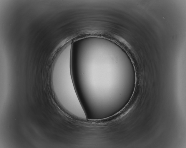 X0000086730922200704130744