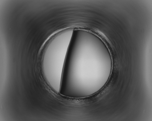 X0000086730923200704130744