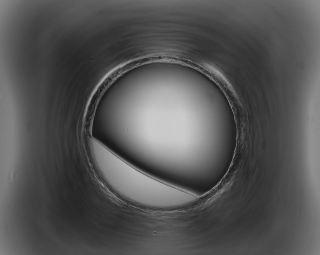 X0000086730924200704130744