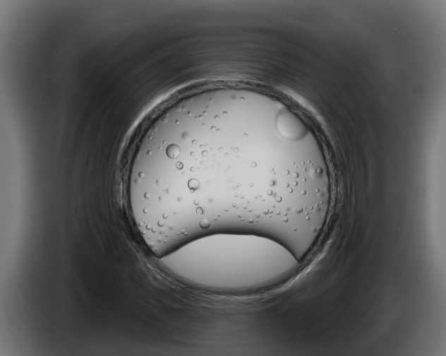 X0000086730925200704130744