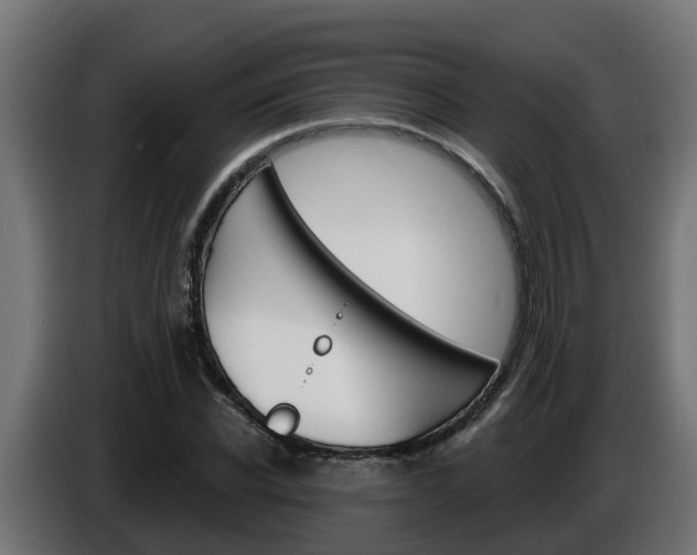 X0000086730926200704130744