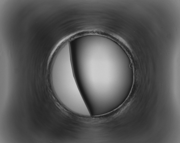 X0000086730927200704130744