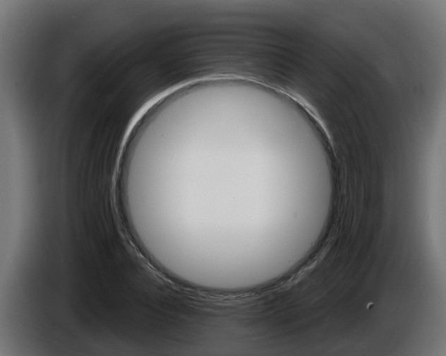 X0000086730928200704130744