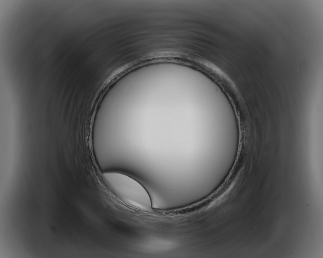 X0000086730929200704130744