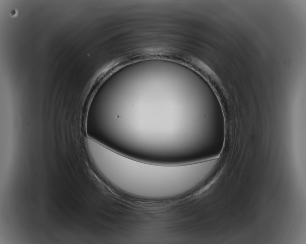 X0000086730930200704130744